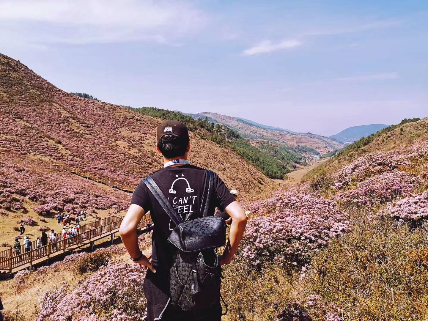 156284e255af47b5c5426e3a797c3e90