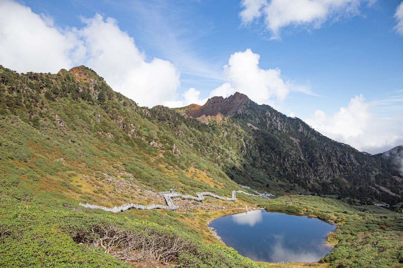 pexels photo 14307387.jpeg