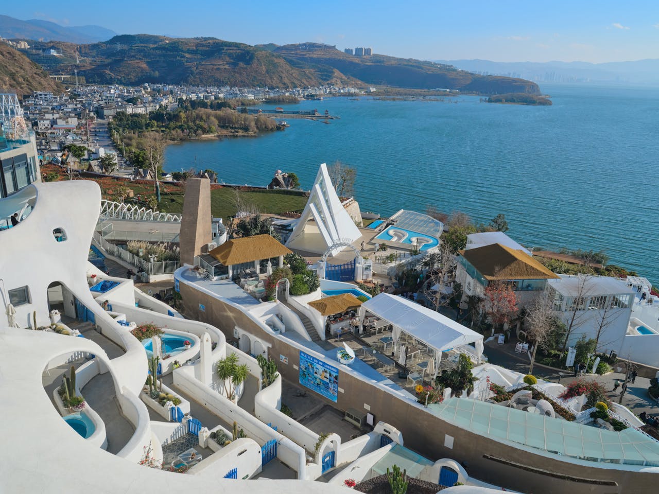 pexels photo 31168964.jpeg