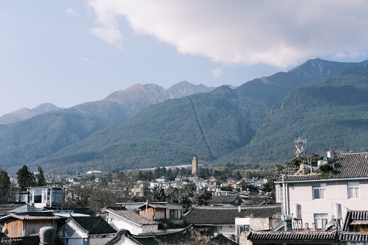 pexels photo 31427560.jpeg